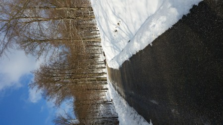 Ausflug in den Lainzer Tiergarten 6.1.2015